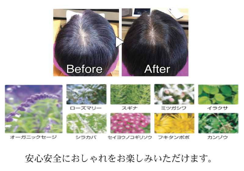 オーガニックハーブカラー